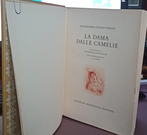 Romanzo dama delle - dama,