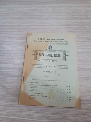 Milizia nazionale forestale - nazionale,