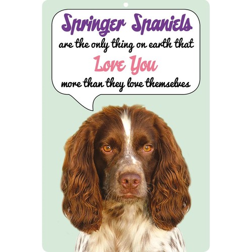Insegna cane inglese springer - insegna,