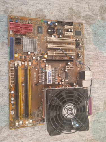 Scheda madre asus - scheda,