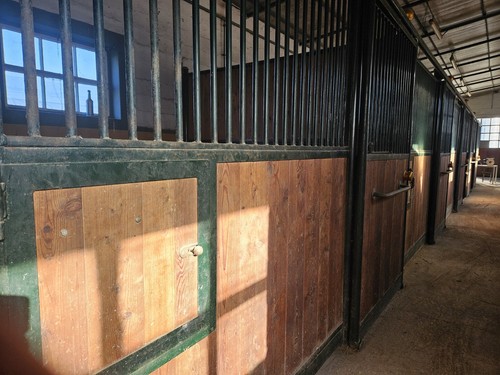 Box per cavalli - 5,
