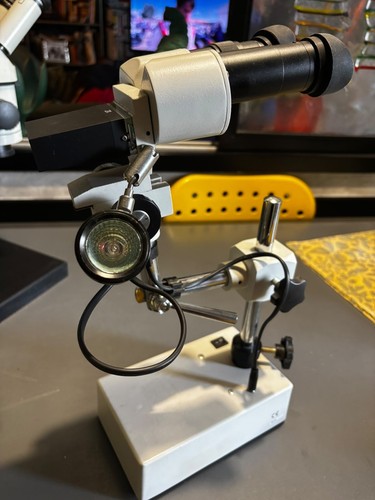 Microscopio stereo binoculare