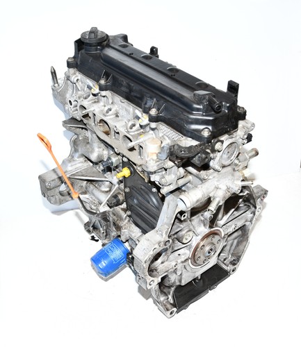 Motore benzina l13z1 - motore,