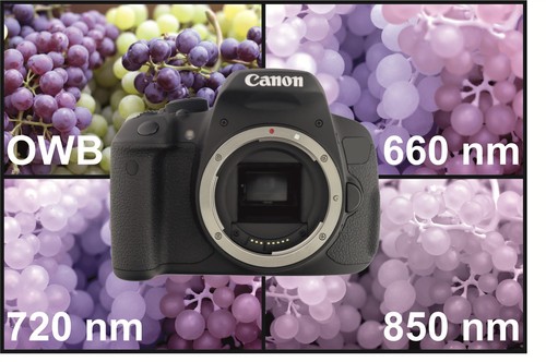 Canon fotocamera spettro - fotocamera, a