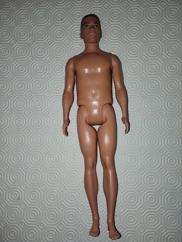 Barbie ken fashionistas curvy - barbie,