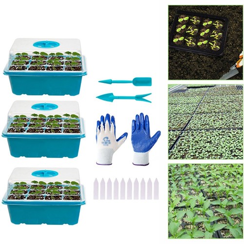 Plant grow box - grow,