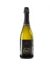 SIDRO CIDRE ST. BERNARD 2024 CL 75 MALEY