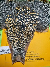 Capo Gallo della Giungla SUPER