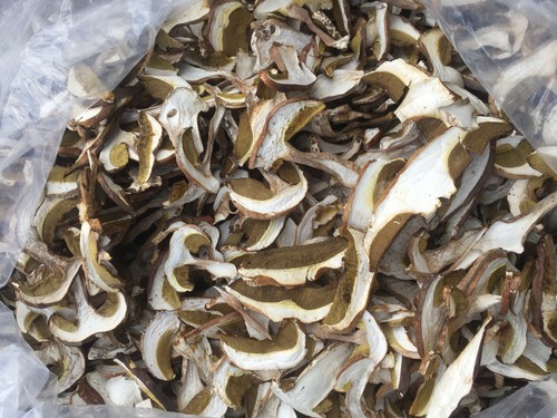 Funghi porcini secchi - funghi, qualita'