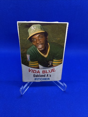 1977 hostess vida - hostess, blue