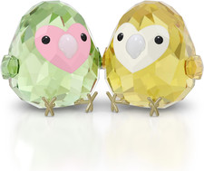 All You Need Are Birds Coppia