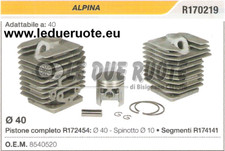 8540520 KIT CILINDRO E PISTONE MOTOSEGA ALPINA 40 Ø40mm SPINOTTO 10