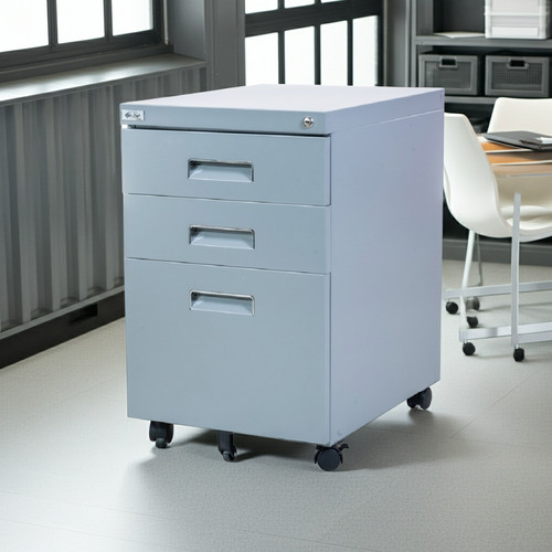 Contenitore con ruote - , paul