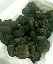 TARTUFO NERO PREGIATO FRESCO