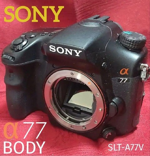 Sony alpha a77 slt - alpha, nero