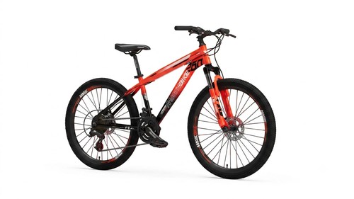 Bicicletta per ragazzi - bicicletta,