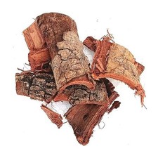 Pipal Chaal - Corteccia di