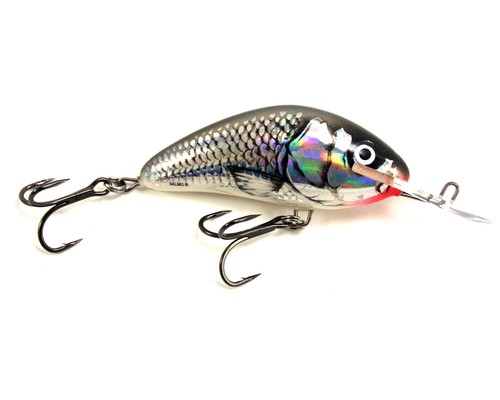 Salmo hornet esche - salmo,