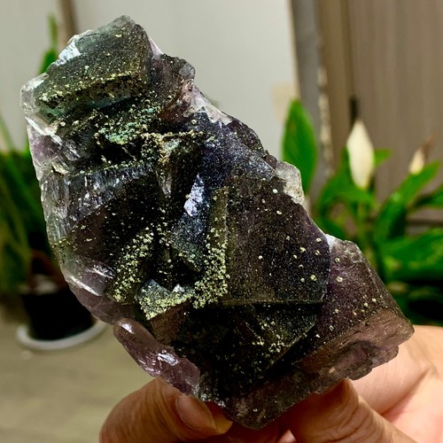 Fluorite viola verde naturale