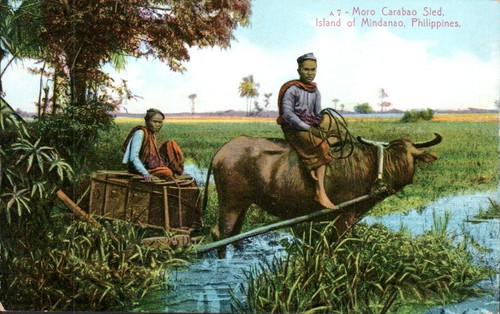 Cartolina epoca moro carabao - cartolina,