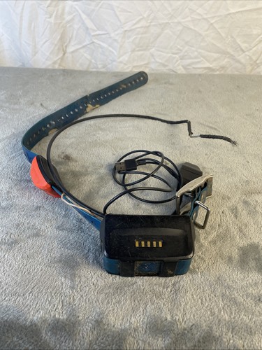 Garmin collare gps per - t5,