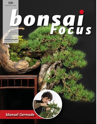 Bonsai focus annata completa - bonsai,