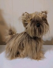 Pupps Club Yorkshire Terrier