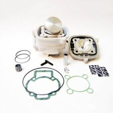 MALOSSI 318837 GRUPPO TERMICO