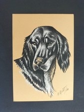 GORDON SETTER RAZZE CANINE