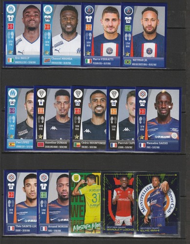 Panini stickers foot - panini,