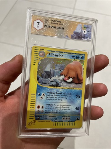Piloswine skyridge 2003 graad - piloswine,