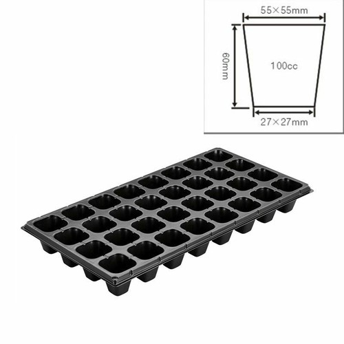 Seme starter vassoio cella - seme,