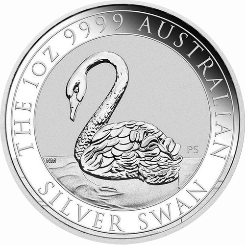 Argento cigno australia - 1,