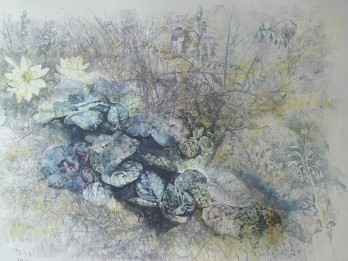 Quadro litografia renzo - quadro,
