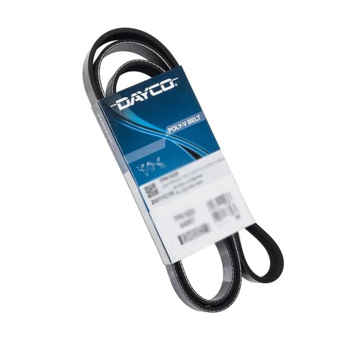 6pk1200 cinghia servizi - servizi, per
