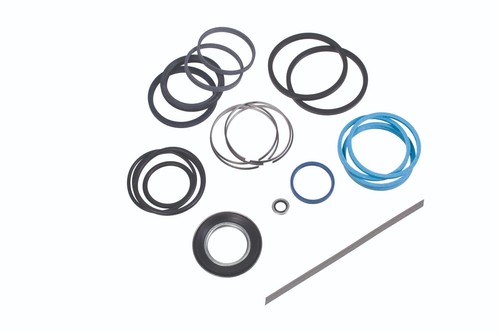 Kit guarnizioni pignone - guarnizioni,