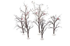 Lotto 56 rami nudi smerigliati