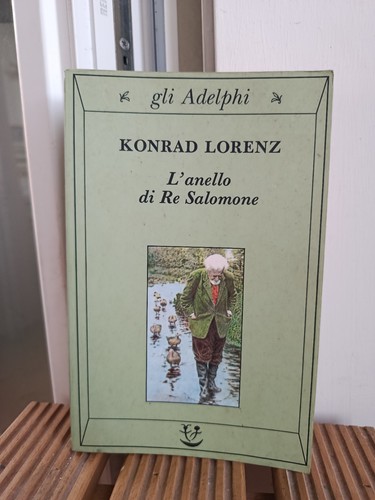Anello salomone - re,