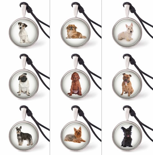 Terrier razze cani - razze, collana