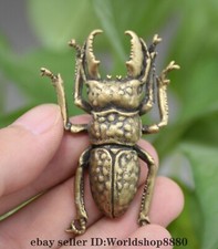 Ciondolo statua coleottero