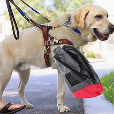 Accessori Per Cane