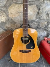 Vintage Ariana 12-String