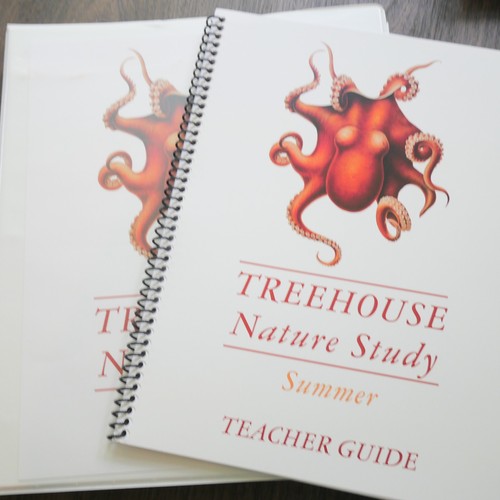 Treehouse schoolhouse - treehouse,