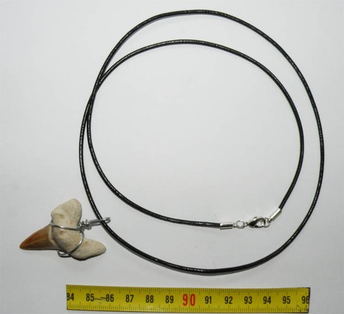 Collana sospensione dente - collana, da