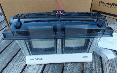 Invitrogen mini gel tank - 4x,