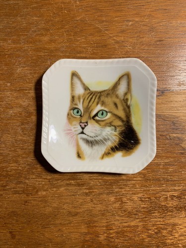 Piatto quadrato gatto - piatto/piatto,
