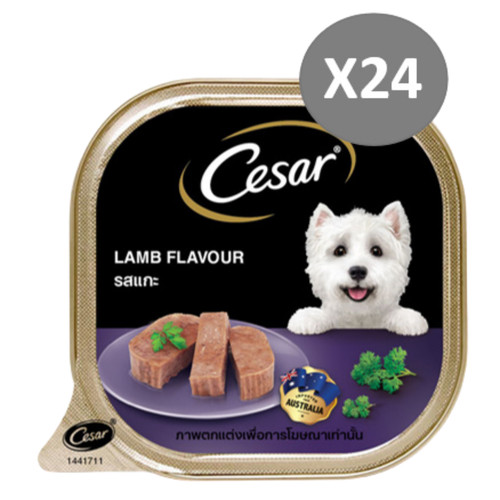 Cesar cibo umido - cesar,