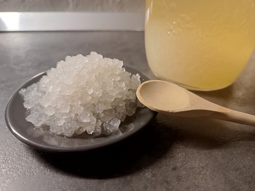 Grani di kefir - gr,
