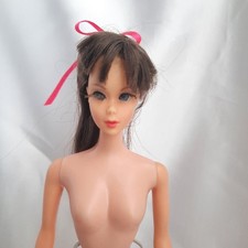 Barbie Tnt , Mattel Anni 60.  LEGGE DESCRIZIONE.