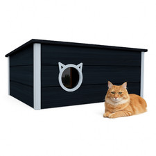 QLS Isolato Casa Gatto IN